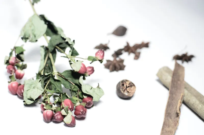 Smoke Signals: What Your Incense Label Is Actually Telling You (and What It's Hiding)