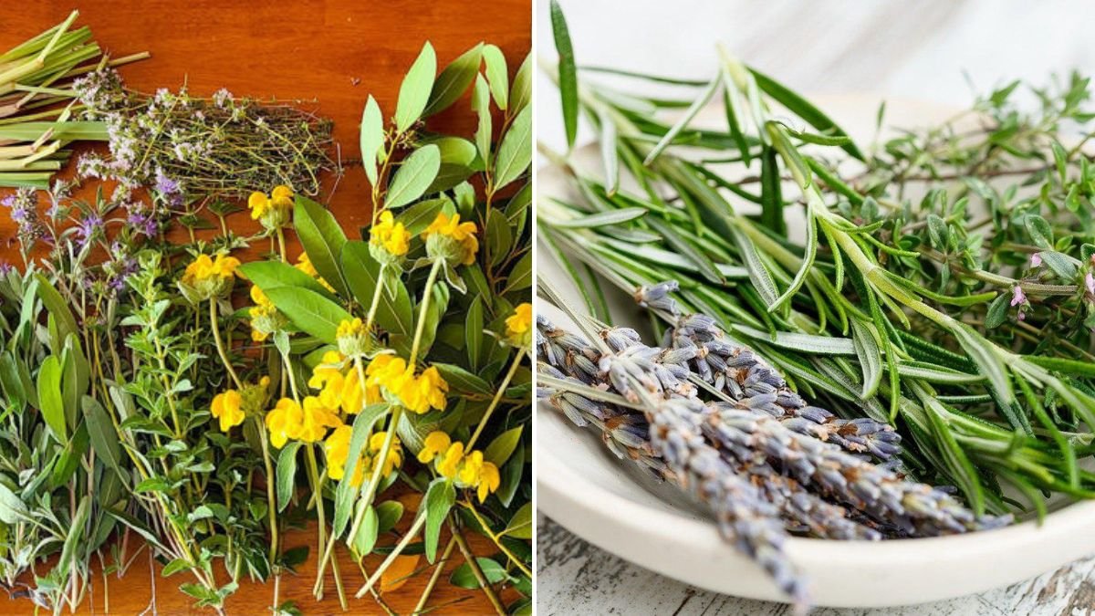 How to Use Woody Herbs to Enhance Your Meals