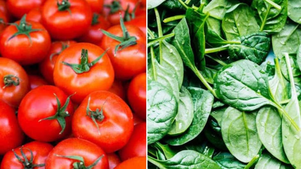 18 Essential Vegetables to Include in Your Daily Diet