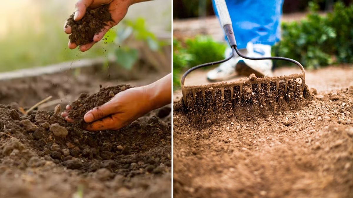 Give Your Plants the Best Start in Life: Essential Tips for Casual Gardeners