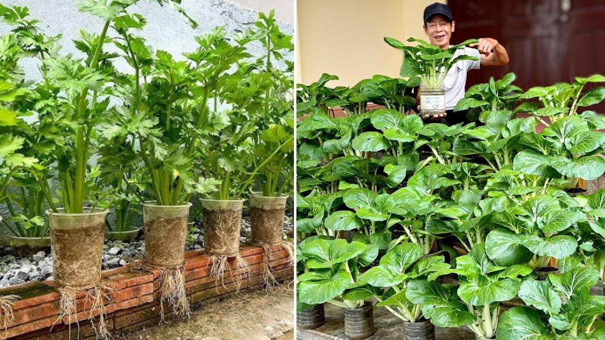 Easiest Recycled Garden – Dream Veggie Patch from Trash! Super Easy & Productive!