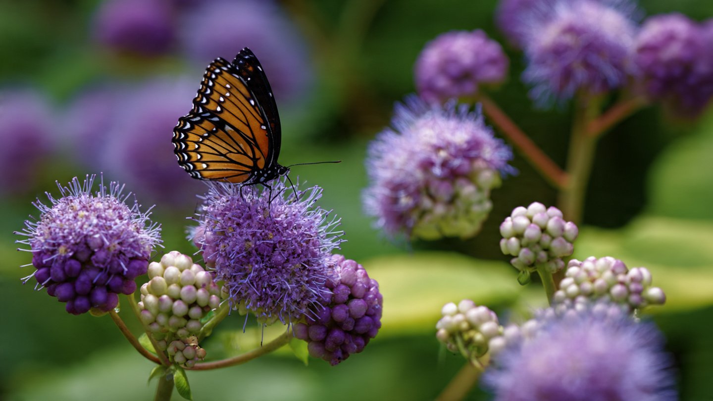 Why Should Your Garden Embrace Pollinator Weeds for a Thriving Ecosystem?
