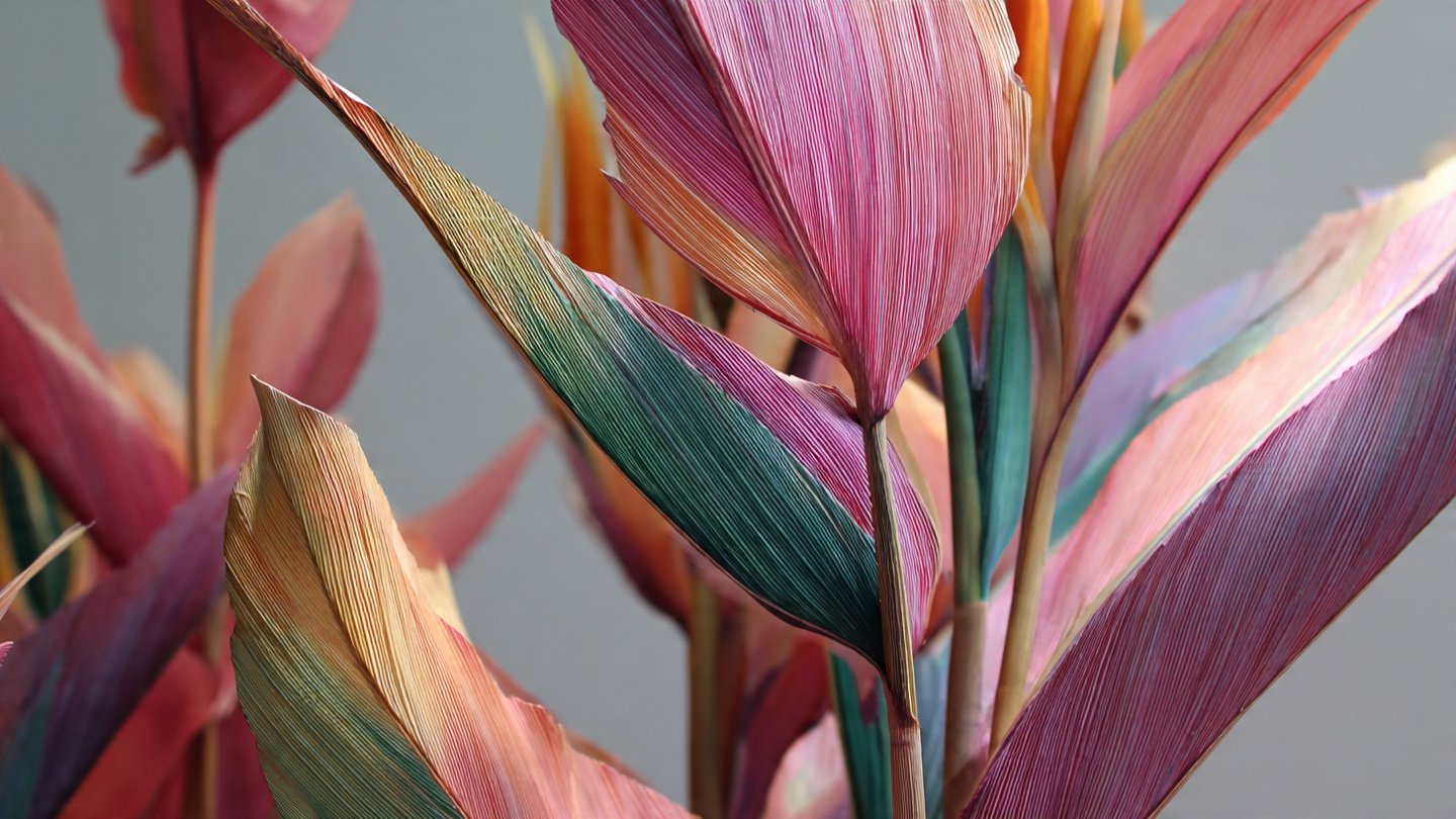 Why Are Your Bird of Paradise Leaves Splitting at the Edges?