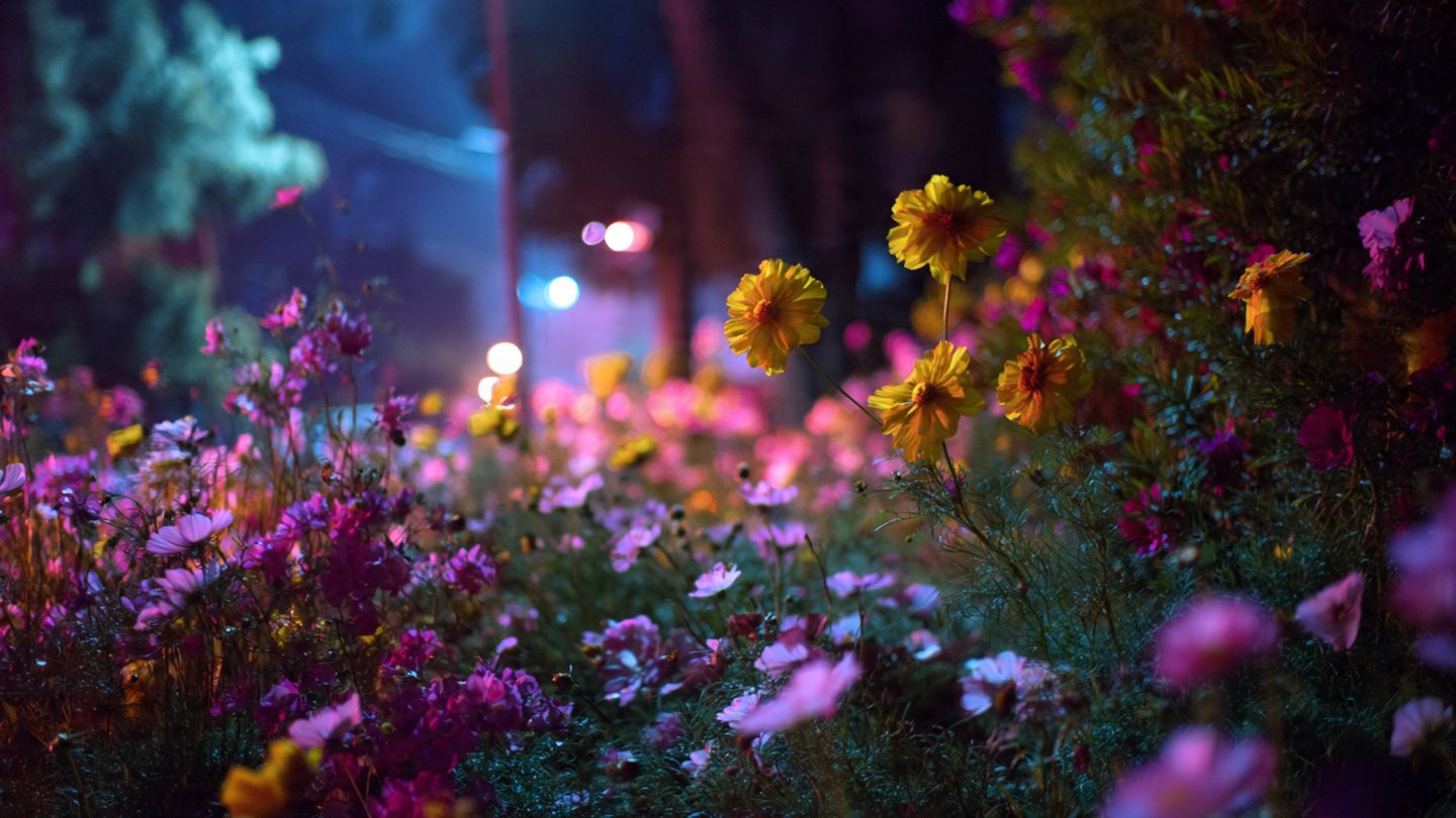 How Does Light Pollution Secretly Impact Your Flower Garden?