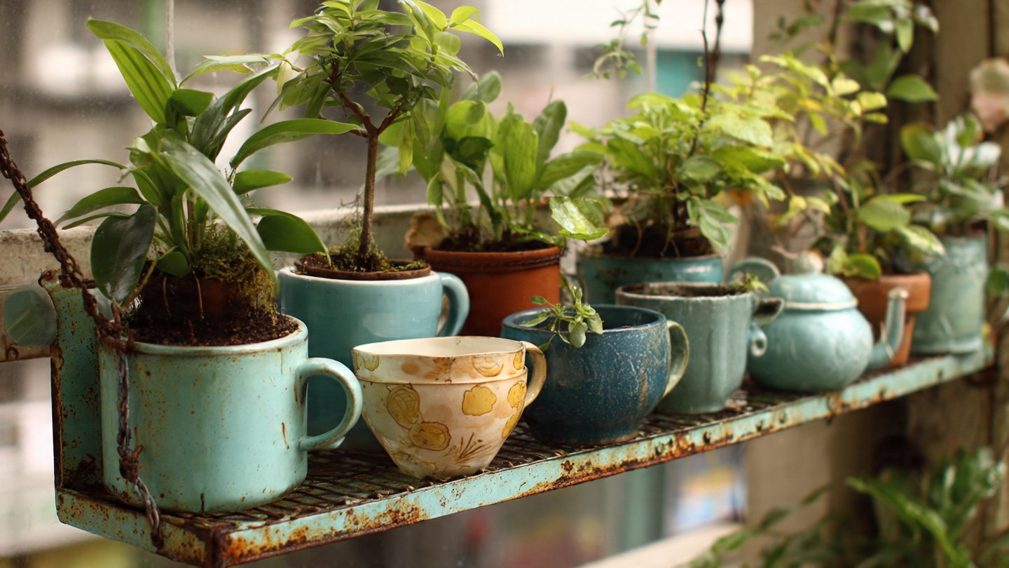 How Can You Transform Old Kitchenware into Unique Balcony Planters?